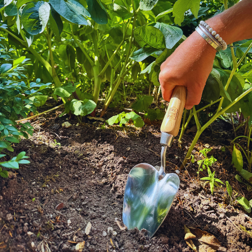 Spring Gardening: The Jobs That Actually Make a Difference Right Now